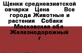 Щенки среднеазиатской овчарки › Цена ­ 1 - Все города Животные и растения » Собаки   . Московская обл.,Железнодорожный г.